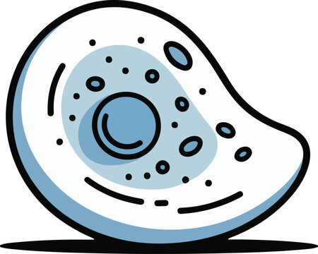 Amoeba Cell Microorganism Illustration biology science