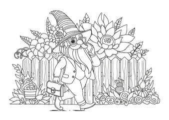 A gnome in a suit carrying a briefcase walks along a wooden fence with flowers growing behind it. This coloring page is for children and adults. Black and white illustration for coloring.
