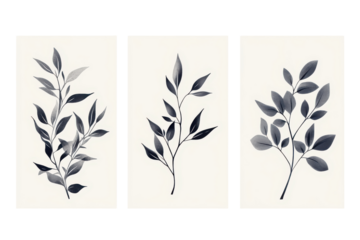Watercolor botanical branches with leaves isolated on transparent background. Realistic watercolor painted botanical branches with textured leaves isolated on white background.