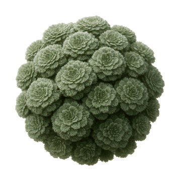 Dense, gray-green rosettes of cushion moss.