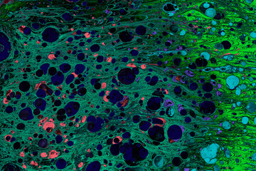 Abstract ebru marbling texture background design.