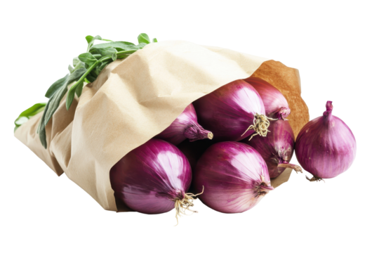 Fresh red onions wrapped in paper isolated on transparent background. Fresh red onions wrapped in kraft paper with green herb garnish isolated on white background. - Powered by Adobe