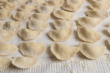 Close Up Traditional Raw Ukrainian Varenyky
