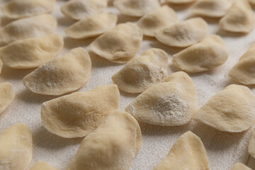 Close Up Traditional Raw Ukrainian Varenyky