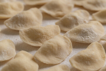 Close Up Traditional Raw Ukrainian Varenyky