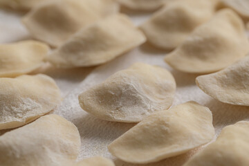 Close Up Traditional Raw Ukrainian Varenyky