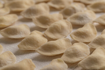 Close Up Traditional Raw Ukrainian Varenyky