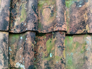 Photo of old mossy roof tiles, perfect for a background. Roof-tile that&rsquo;s too old and covered with mold, looks so dirty.