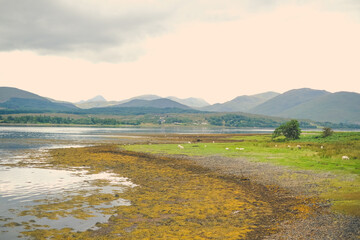 lake in the mountains