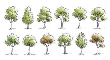 Collection of tree sketches with green foliage on white background