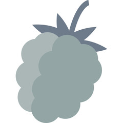 A single stylized gray raspberry fruit icon with a leaf stem against a transparent background representing healthy food and natural ingredients