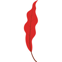 A Single Vibrant Red Leaf with a Thin Stem and Visible Veins Against a Transparent Background for Autumnal or Botanical Designs