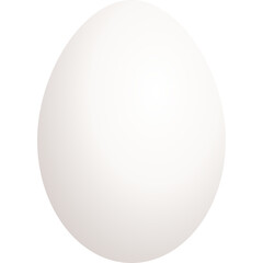 A single white egg with a smooth oval shape and a clean surface with no visible defects casting a soft shadow on a transparent background perfect for culinary and design applications