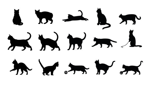 シルエットの猫