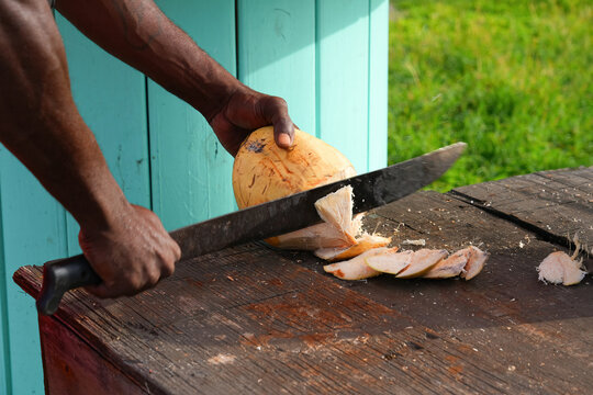 Man cutting a fresh coconut with a machete in the Caribbean
