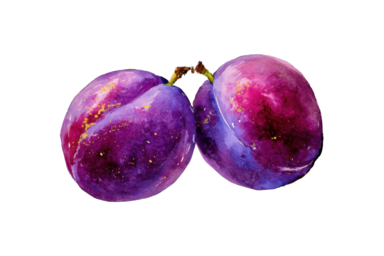 Purple plums isolated on transparent background. Plums with watercolor isolated on white background. - Powered by Adobe