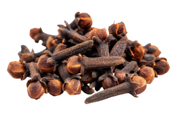 Pile of dried cloves spice isolated on transparent background. Pile of dried cloves spice aromatic isolated on white background.