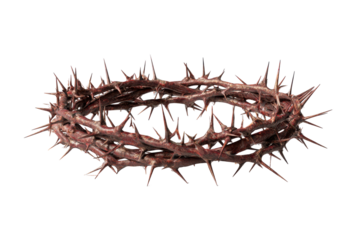 Crown of thorns religious symbol isolated on transparent background. Religious symbolism of a thorny crown isolated on white background.