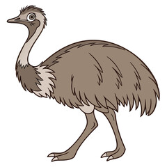  emu animal vector art free download 