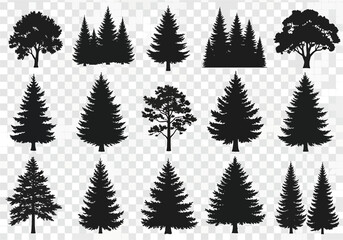 Collection of Black Silhouettes of Various Trees and Conifers, Realistic Forest Elements, Isolated on Transparent Background, Vector Graphics