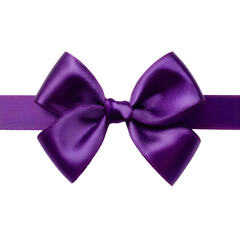 Elegant Purple Ribbon Bow on Smooth Satin Ribbon for Creative Designs