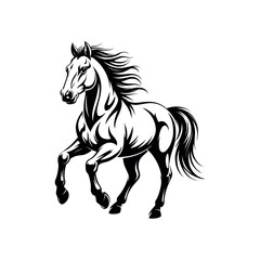Obraz premium Horse art graphic vector design