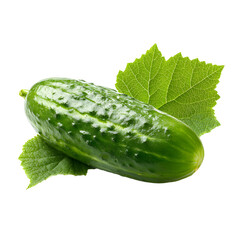 Fresh Green Cucumber with Leaf Isolated on White Background for Food and Health Industry