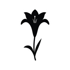 Striking Black Silhouette Depiction of an Elegant Lily Blossom on White Background