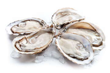 Fresh raw open oysters on ice, on a white background, a seafood delicacy, gourmet food