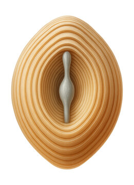 Concentric lamellar structure of a Pacinian corpuscle with central nerve.