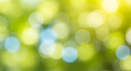 Soft focus green and yellow bokeh lights, abstract background with sun flare, natural light effect