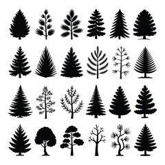 Collection of evergreen and deciduous tree silhouettes for forestry and botanical designs and arts
