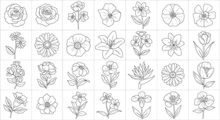 Collection of 35 Hand Drawn Black and White Flower Illustrations For Design And Coloring Pages