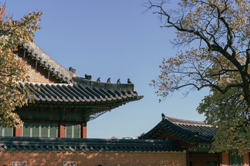 Traditional Korean Palace Roof with Autumn Trees under Clear Blue Sky