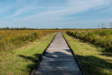 Obraz premium Wooden Boardwalk Trail Through Golden Prairie Wetlands at Sheldon Lake State Park, Texas