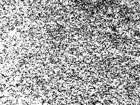 black and white seamless pattern, grass vector