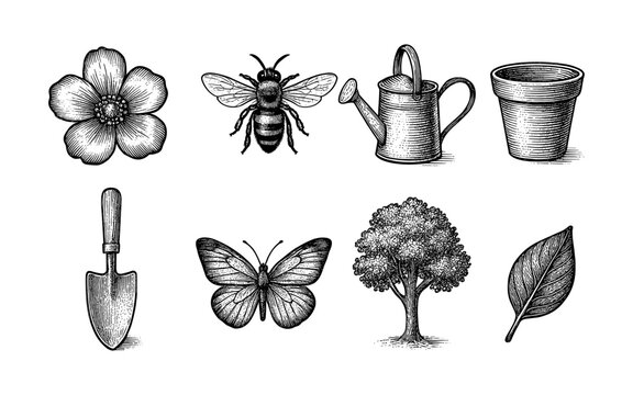 Vintage engraving garden elements: flowers, insects, and tools
