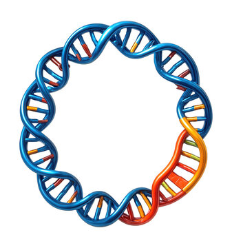 Recombinant plasmid DNA containing an inserted foreign gene sequence.