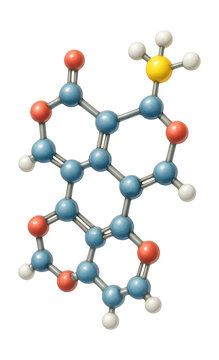 3D model of a methylated cytosine base pair with an added methyl group.
