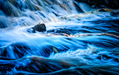 A tiny little bird sits on a rock surrounded by rushing water.