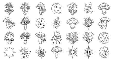 Aesthetic line art design featuring celestial elements and fungi illustrations evoking whimsical