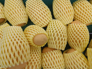 Mangoes wrapped in foam ready for sale