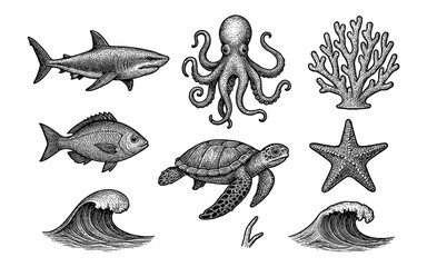 Fototapeta premium Detailed marine life collection featuring ocean creatures and coral