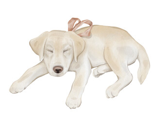 Watercolor character beige yellow retriever puppy dog isolated on white background. Hand drawn illustration sketch Labrador sleeping and a red bow around his neck.