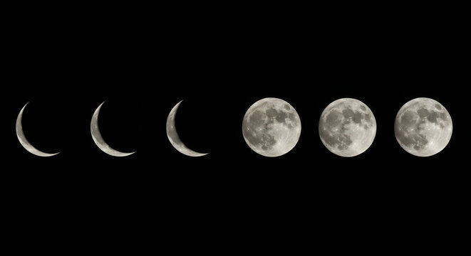 Witness the majestic lunar cycle unfold across the night sky, from sliver crescent to radiant full moon, showcasing nature's celestial ballet.