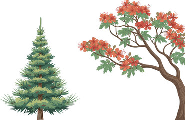 Evergreen pine tree beside vibrant red-orange flowering deciduous tree, showcasing botanical contrast, seasonal diversity, ideal for nature, landscaping, education, garden design, and environmental 