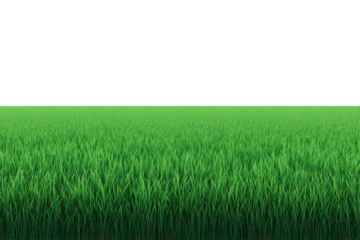 Green grass field, lush and vibrant, stretches to horizon under clear sky, evoking sense of freshness and tranquility in natural outdoor landscape