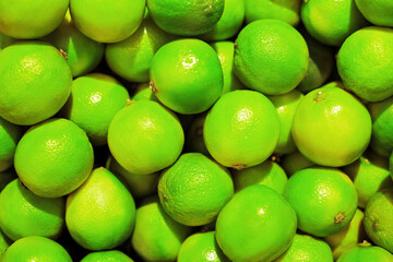 A vibrant, close-up, full-frame view of a large pile of freshly harvested, bright green lime citrus fruits with textured skin.