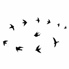 Birds circling in the sky.eps