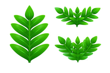 Green leaf illustration botanical foliage nature inspired fresh and vibrant decorative plant element isolated on transparency background suitable for eco design spring summer or garden themes